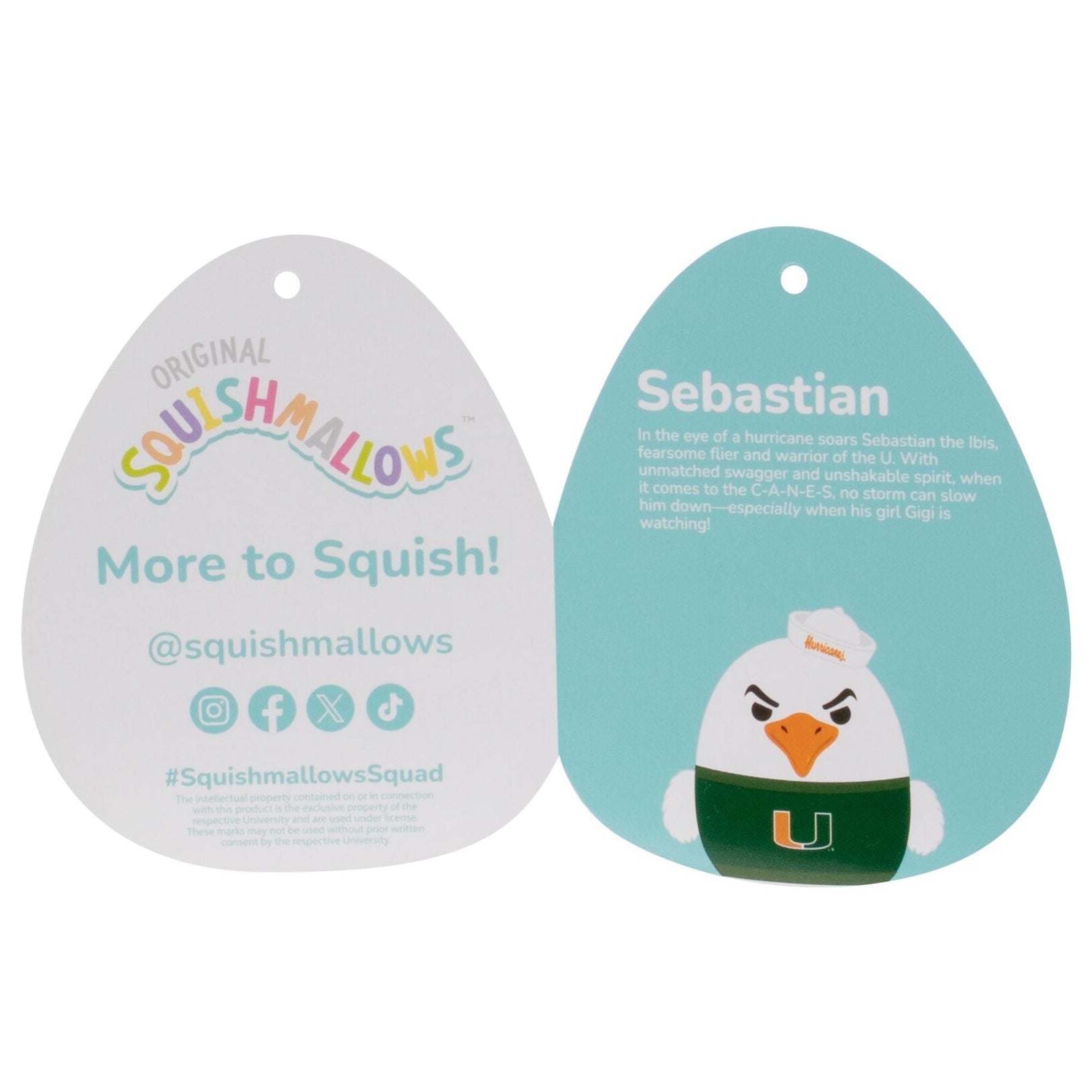 University of Miami Sebastian the Ibis Plush Bundle - Image 3