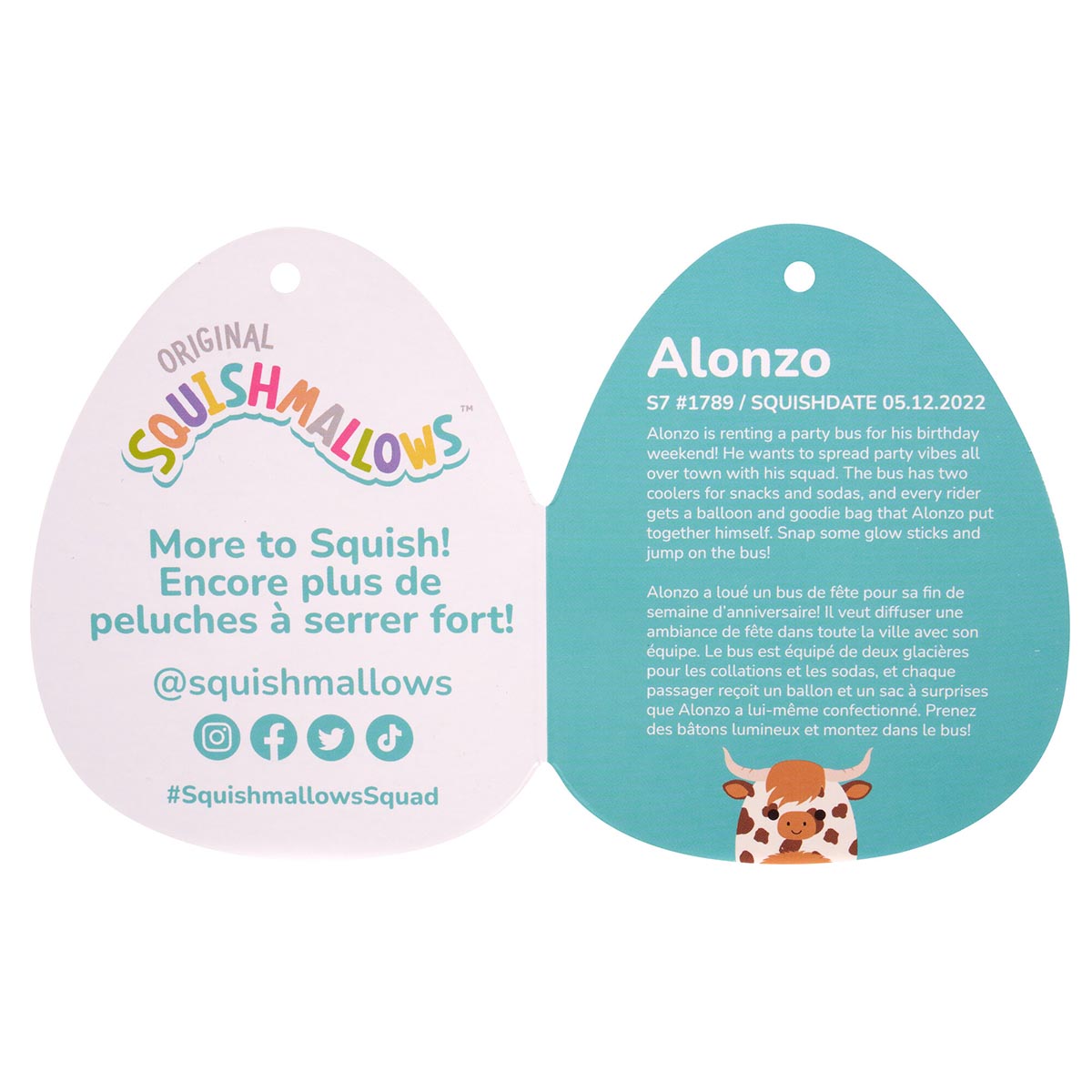 Alonzo the Brown Spotted Highland Cow - Image 6