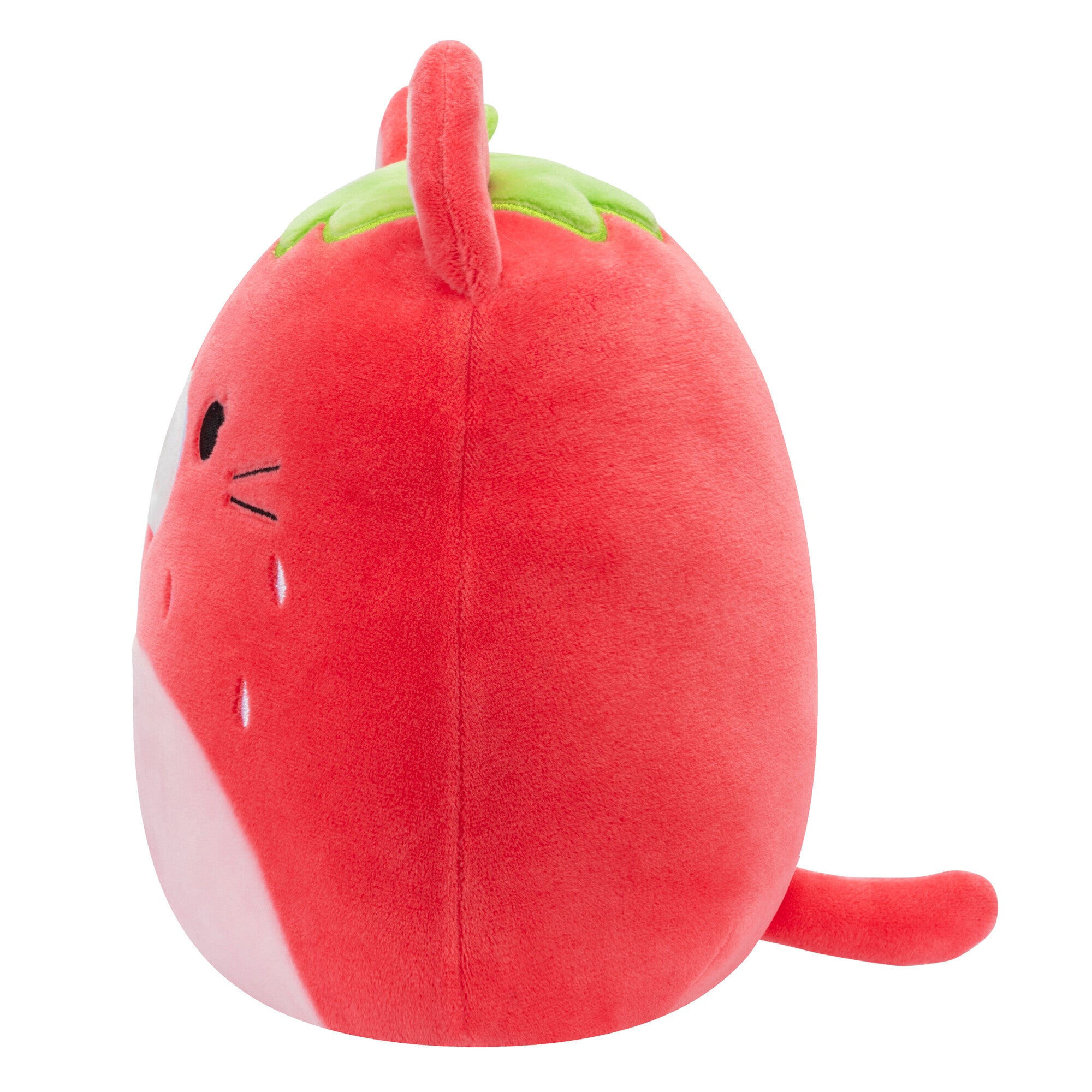 Olma the Strawberry Cat - Image 3