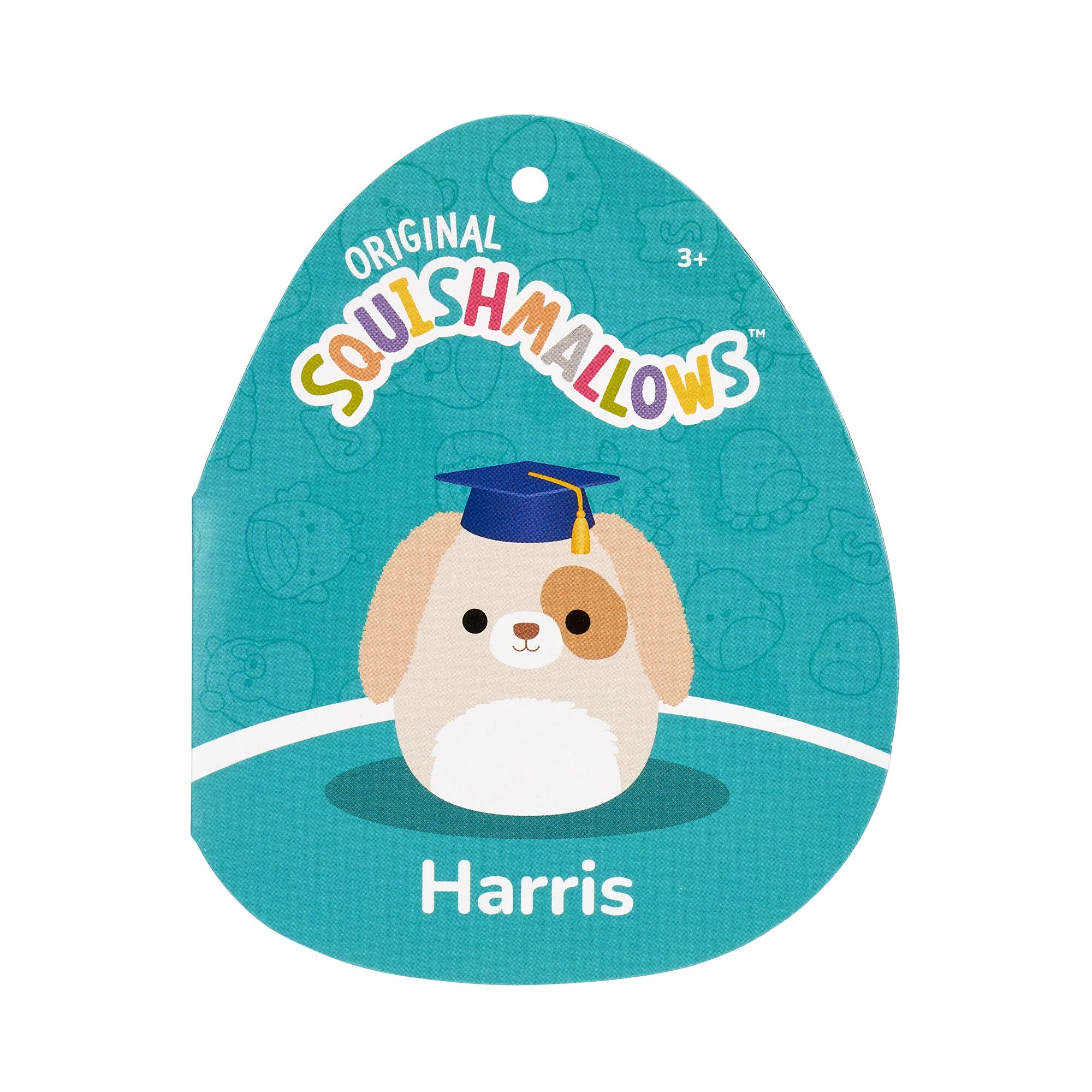 8-Inch Harris the Brown Spotted Dog in Graduation Cap - Image 5