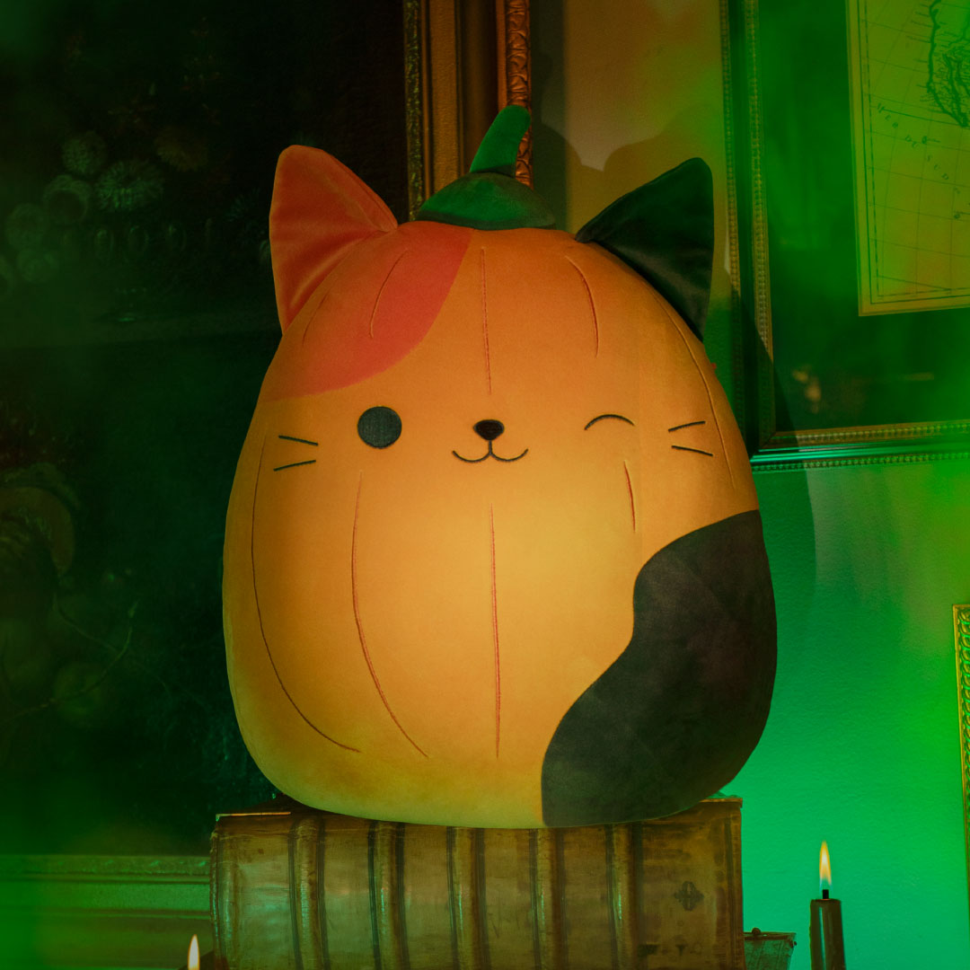 Pumpkin Cam - Image 2